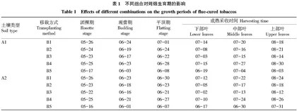 土壤与移栽方式对烤烟生长及经济效益的影响