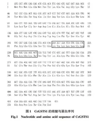 周氏啮小蜂CcGSTS1基因的克隆·蛋白表达纯化及酶学特征分析