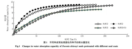 不同种皮预处理对滇牡丹种子吸水特性及萌发的影响