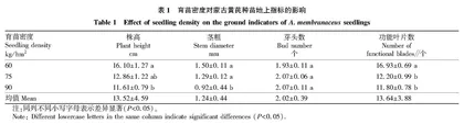 不同密度对山西蒙古黄芪生长发育与产量的影响