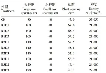 河套灌区向日葵种植行距密度效应研究14