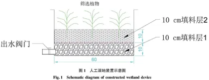 不同水生植物对养猪废水净化效果研究