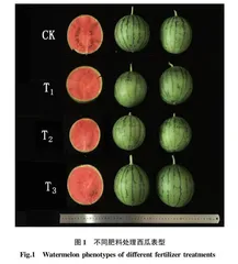 盘州烟区上部烟叶不同采收时期对烟叶质量的影响7
