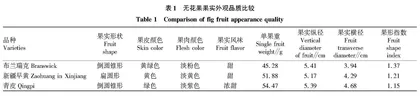 不同无花果品种果实品质比较分析