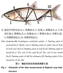 湖泊深水暂养过程中鳙鱼品质变化研究