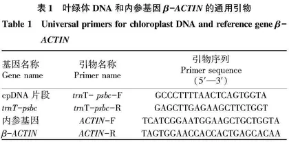 珍稀濒危树种金钱槭的基因组DNA提取方法研究