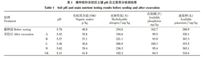 生物炭肥对土壤理化性质及马铃薯抗病性的影响