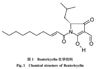 源自罗伊氏乳杆菌的活性物质及其潜在应用