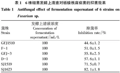 栝楼根腐病镰孢菌拮抗菌SJ1623发酵代谢物的抑制活性