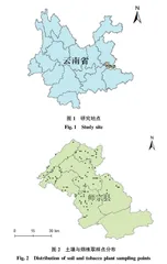 云南师宗烟区土壤养分与烟叶化学成分研究