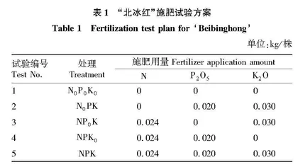 干旱区不同施肥处理对“北冰红”产量的影响