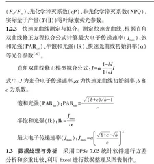 干旱胁迫条件下朱槿叶绿素荧光特性