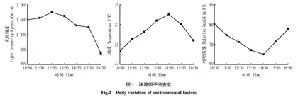 盐城滨海淡水湿地芦苇光合特性及叶绿素荧光特性日变化研究