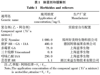 缓解剂对乙·阿合剂黄瓜幼苗药害的解除作用