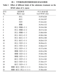 21种育苗基质对锯箬棕苗生长的影响