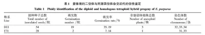 近三倍非整倍体紫锥菊的染色体加倍