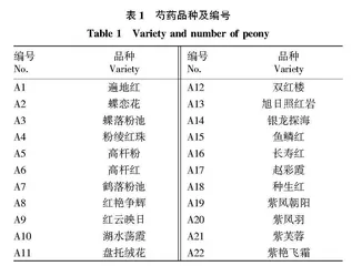 22个芍药品种种籽功能性成分分析