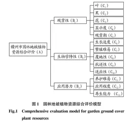 赣州市园林地被植物资源筛选评价及园林应用研究