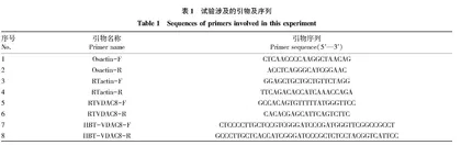 不同水稻品种OsVDAC8的表达模式比较与亚细胞定位分析