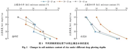 不同耕翻深度对土壤养分及水稻产量的影响