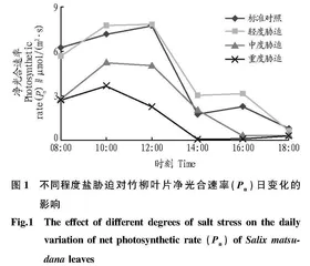 盐胁迫条件下竹柳光合作用日变化特征研究