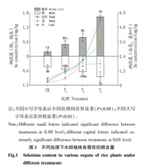 叶面喷施硒肥对水稻吸收累积硒及其他矿质元素的影响