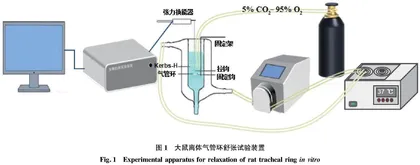 兴安杜鹃3种主要成分的HPLC测定及其对大鼠气管平滑肌的舒张作用