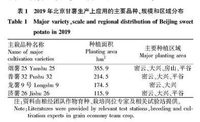 北京甘薯产业发展现状·问题和对策建议