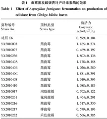 真菌发酵银杏叶产纤维素酶效果的比较