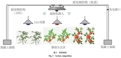 设施番茄栽培智能补光系统关键技术研究