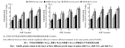 硼对藜麦叶片营养成分的影响