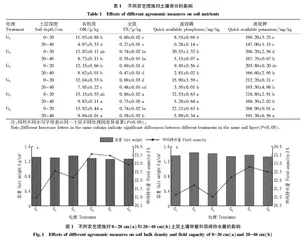 不同农艺措施对土壤理化性质的影响