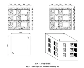 一种刺参增殖礁结构设计及流场效应研究