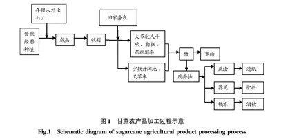 糖料蔗种植保险的产品设计研究