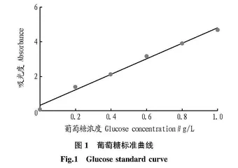 桑黄菌丝多糖的提取及氧化还原性分析