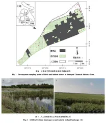 上海化工区2种类型湿地鸟类群落结构差异及影响因素