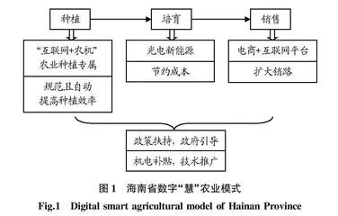 海南省数字农业模式调整及优化研究