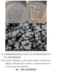 高效氟氯氰菊酯降解菌的分离与降解特性研究