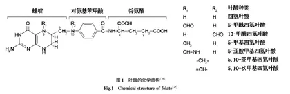 作物中叶酸合成及生物强化研究进展