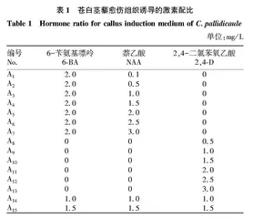 二倍体苍白茎藜组织培养研究