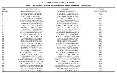 三角鲤线粒体基因组全序列测定及分析