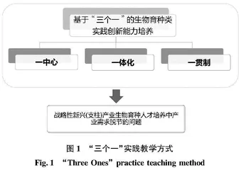 基于“三个一”的生物育种人才实践创新能力培养探索与实践