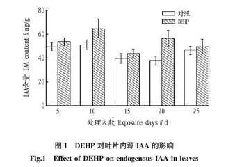 增塑剂邻苯二甲酸二（2-乙基己基）酯对不同生长期冬瓜叶片内源激素的影响