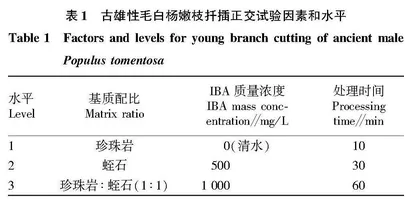 古雄性毛白杨嫩枝扦插技术研究
