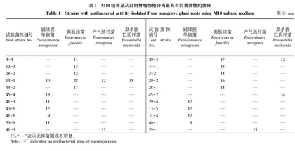 红树林植物内生菌分离鉴定及其抑菌活性研究