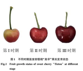 喷施CaCl2对温室甜樱桃“美早”缓解裂果的机制分析