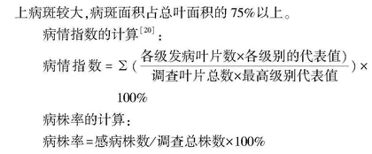 金刺梨叶部病害发生规律调查及病原鉴定