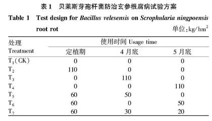 贝莱斯芽孢杆菌对玄参根腐病的田间防效