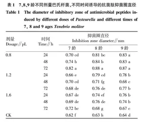 黄粉虫抗菌肽的诱导•分离及其抗菌活性研究