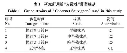 酿酒葡萄“赤霞珠”早熟株系的酚类物质差异研究
